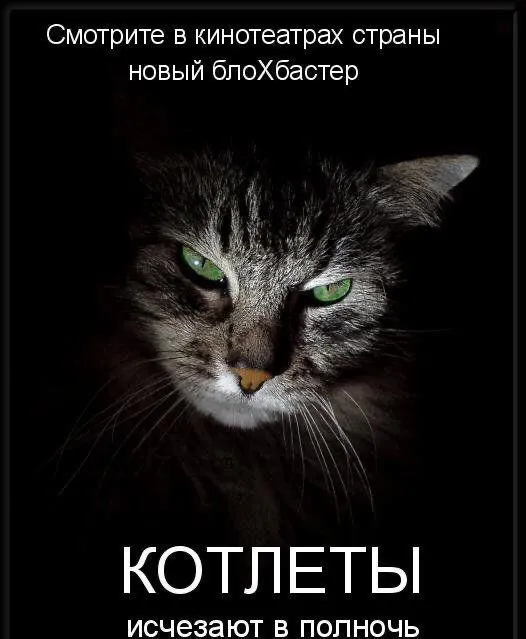 IMG-10aa9544700b4259277511cc7c5530c1-V.webp