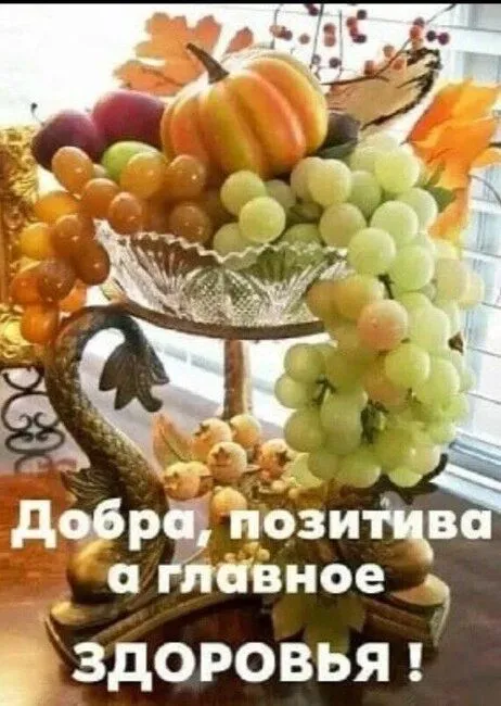 IMG-11301b614707be6e3a9aa15e072b7222-V.webp