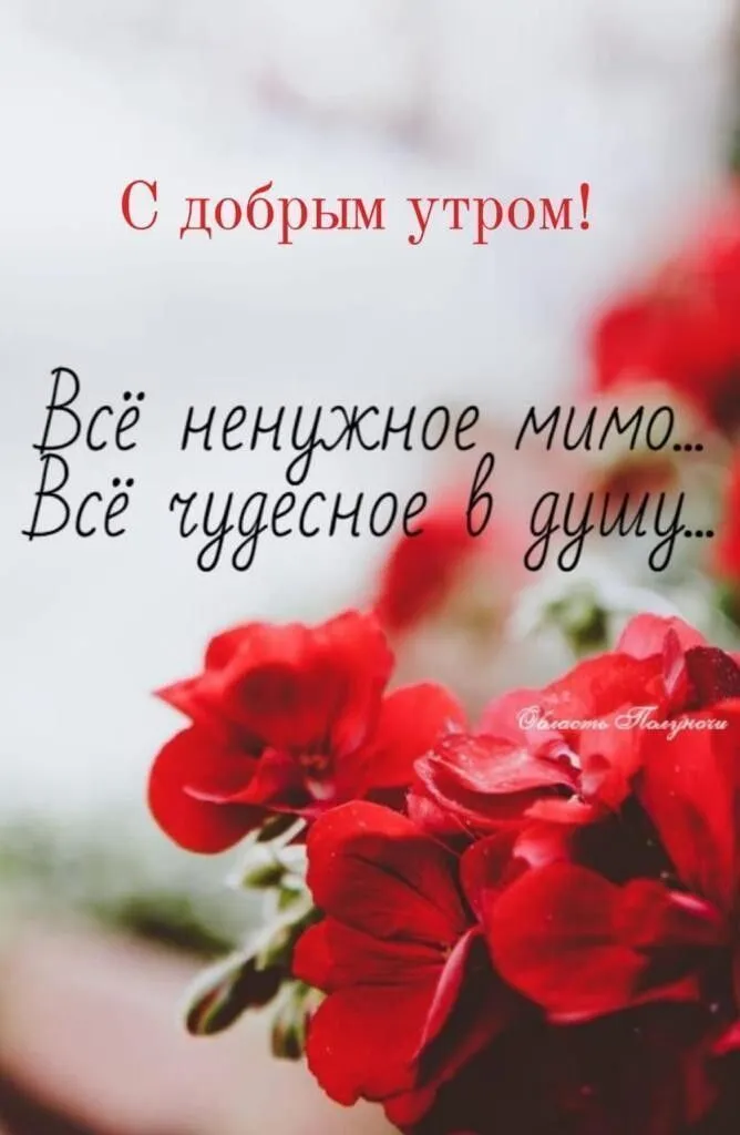 IMG-114849173630035e683d44529a750aeb-V.jpg
