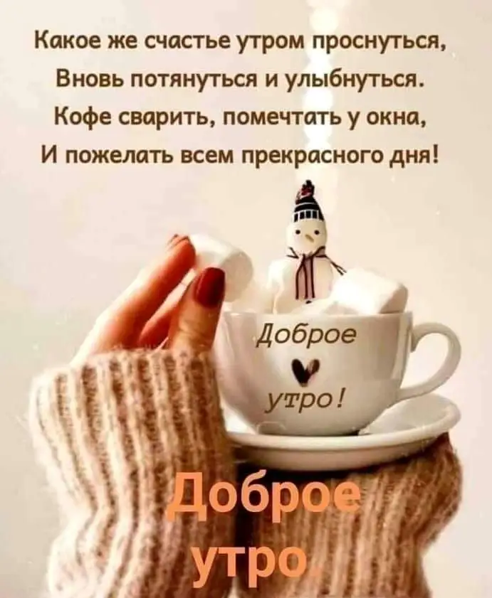 IMG-1204e80814dc99c4c8979fc99e3c1e95-V.webp