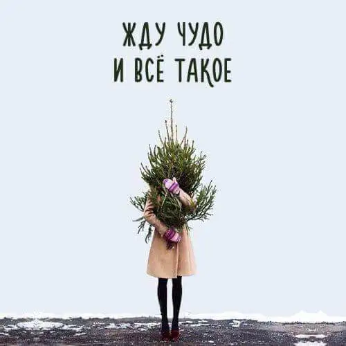 IMG-130d256638a07f6a8bc6b27f2d8f3963-V.webp