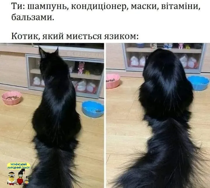 IMG-13cbb2815cb0609dc33448a595044890-V.webp