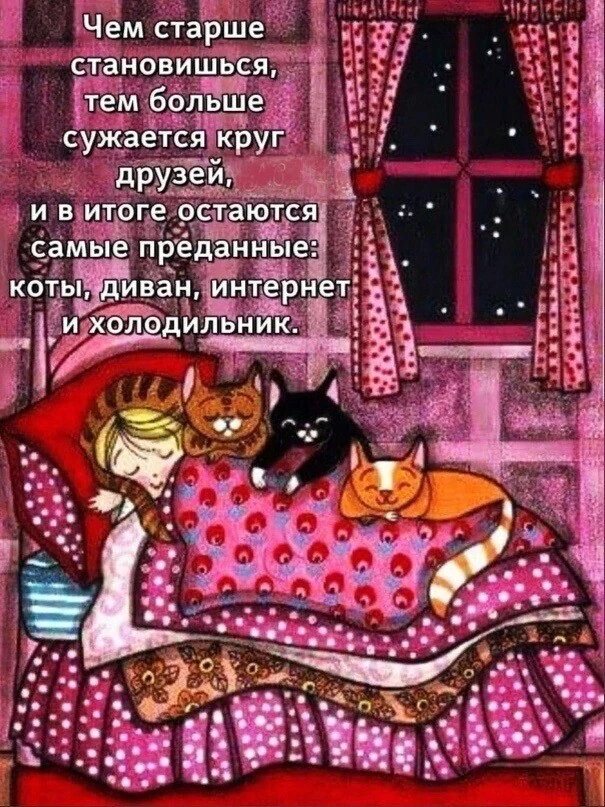 IMG-14ec7bd68094b318c44ef5507b8418d1-V.webp