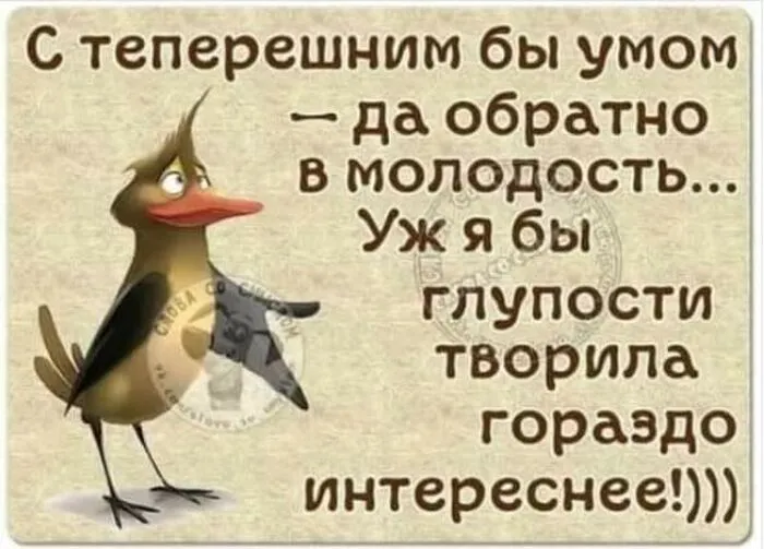 IMG-14f158d32ef33108c4b774c785710991-V.webp