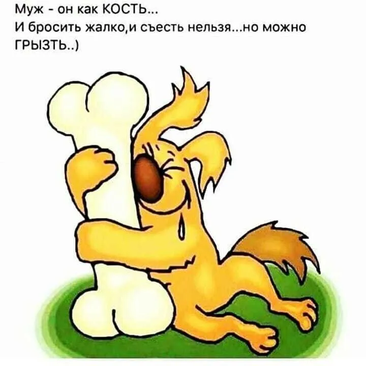 IMG-1562a275fc2278cd9dedb7d6868cbd4b-V.webp