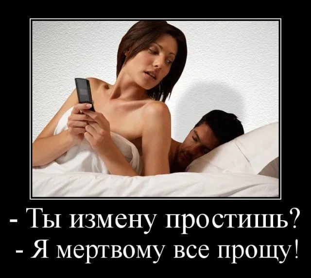 IMG-15bbf456cabcbd3069d4e4b246916715-V.webp