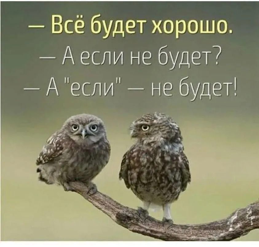IMG-163b5d1d41bba1cccda4a2d1eb11d1bc-V.webp