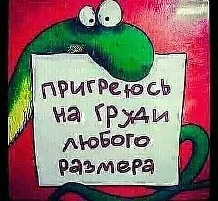 IMG-17f6d2b3e948f9a6ecce2294305ee452-V.webp