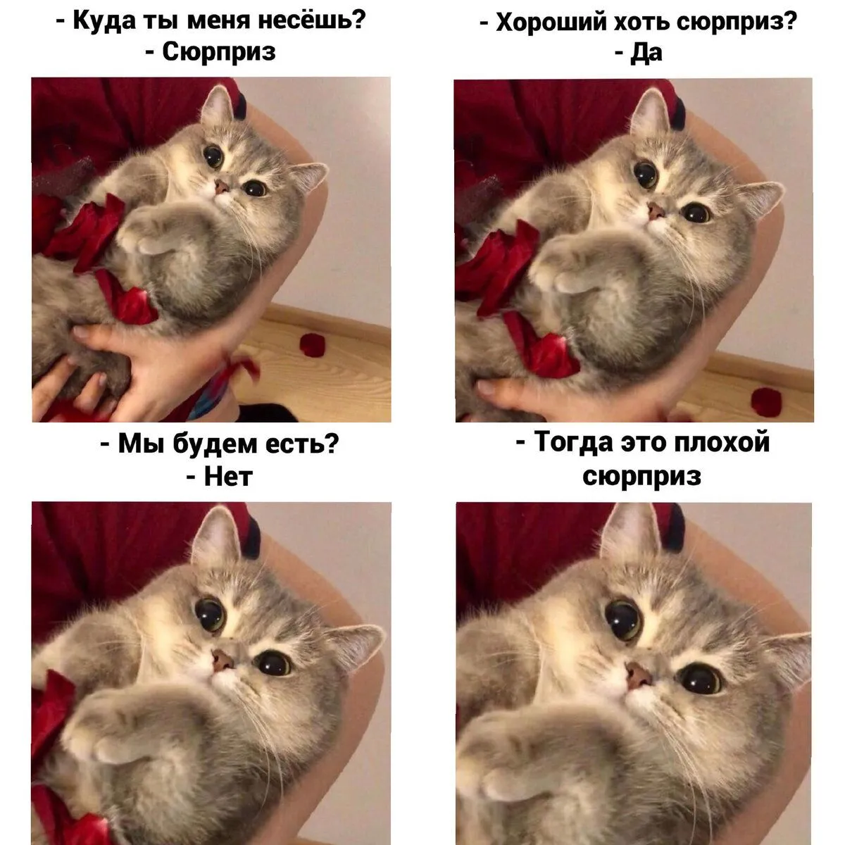 IMG-17f6f636b157b95bf650b508481254d6-V.webp