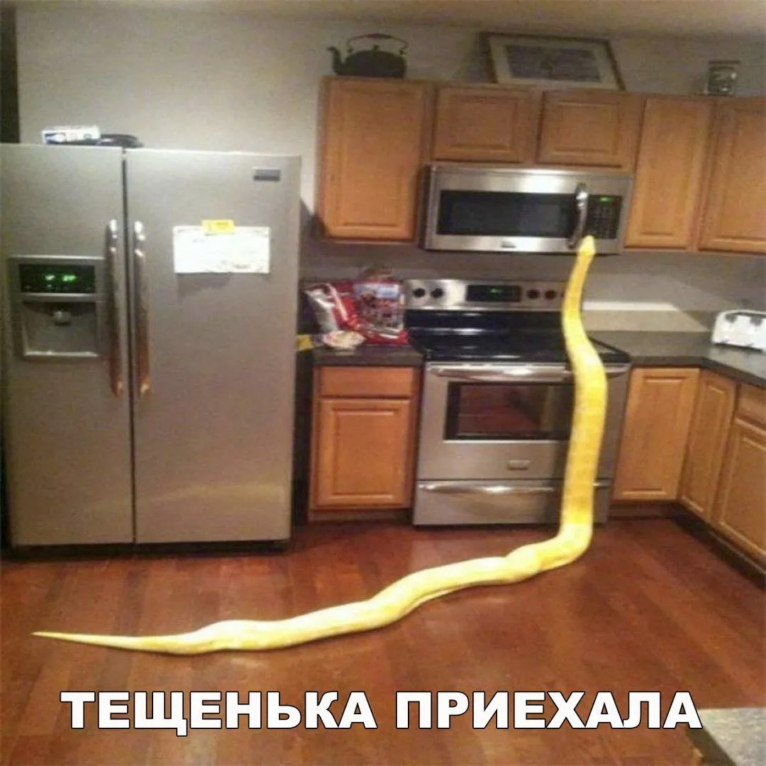 IMG-182b87699bf5080b20c7c46ced34124b-V.webp