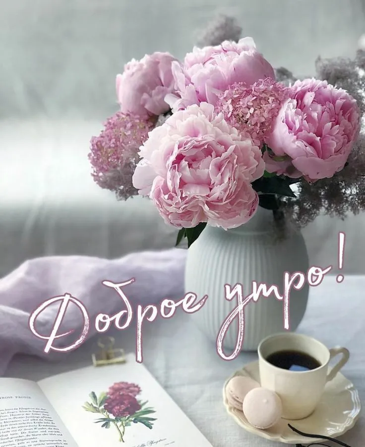 IMG-18872c515309c678eeb403ed7558e88b-V.webp