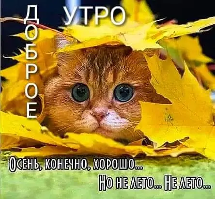 IMG-18bd55b1b25102ed9e24a6195a2d12ba-V.webp