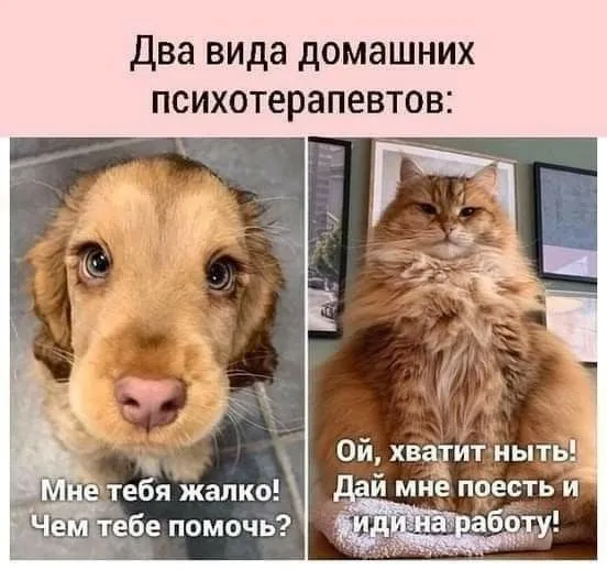 IMG-18fb5f94a7e5f1ee4755170bfbed3766-V.webp
