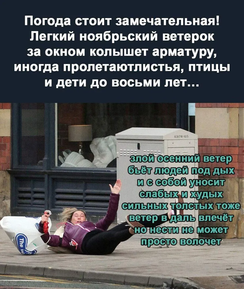 IMG-19b2a77cadfa814b311566ca3eda3667-V.webp