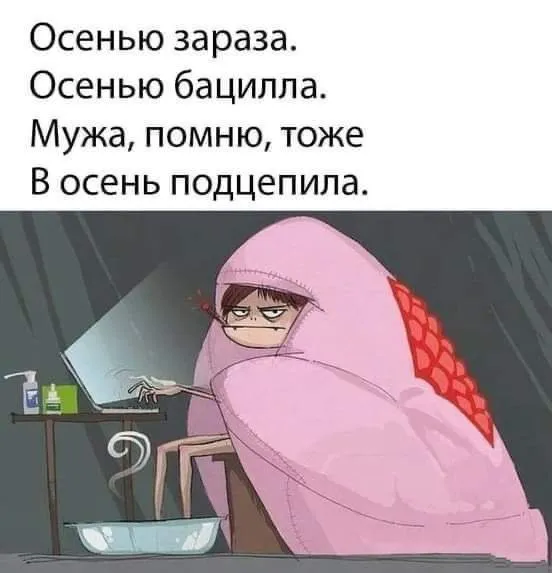 IMG-1a01f995c5f73b611792008d4f1db50b-V.webp