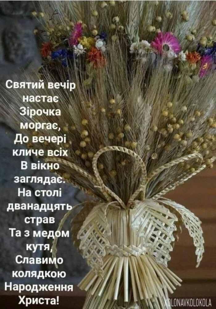 IMG-1a53ff7217d7d7a245f0f0871eeb89b4-V.webp