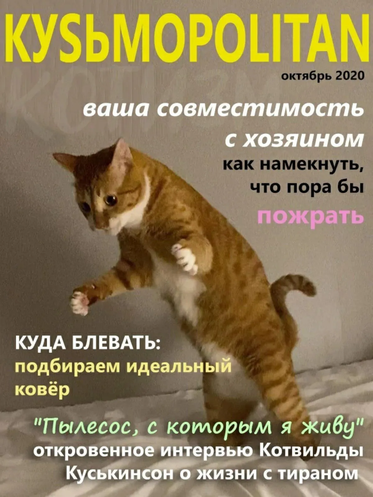 IMG-1a9eca41cfacf7535c16e885b3a66f29-V.webp