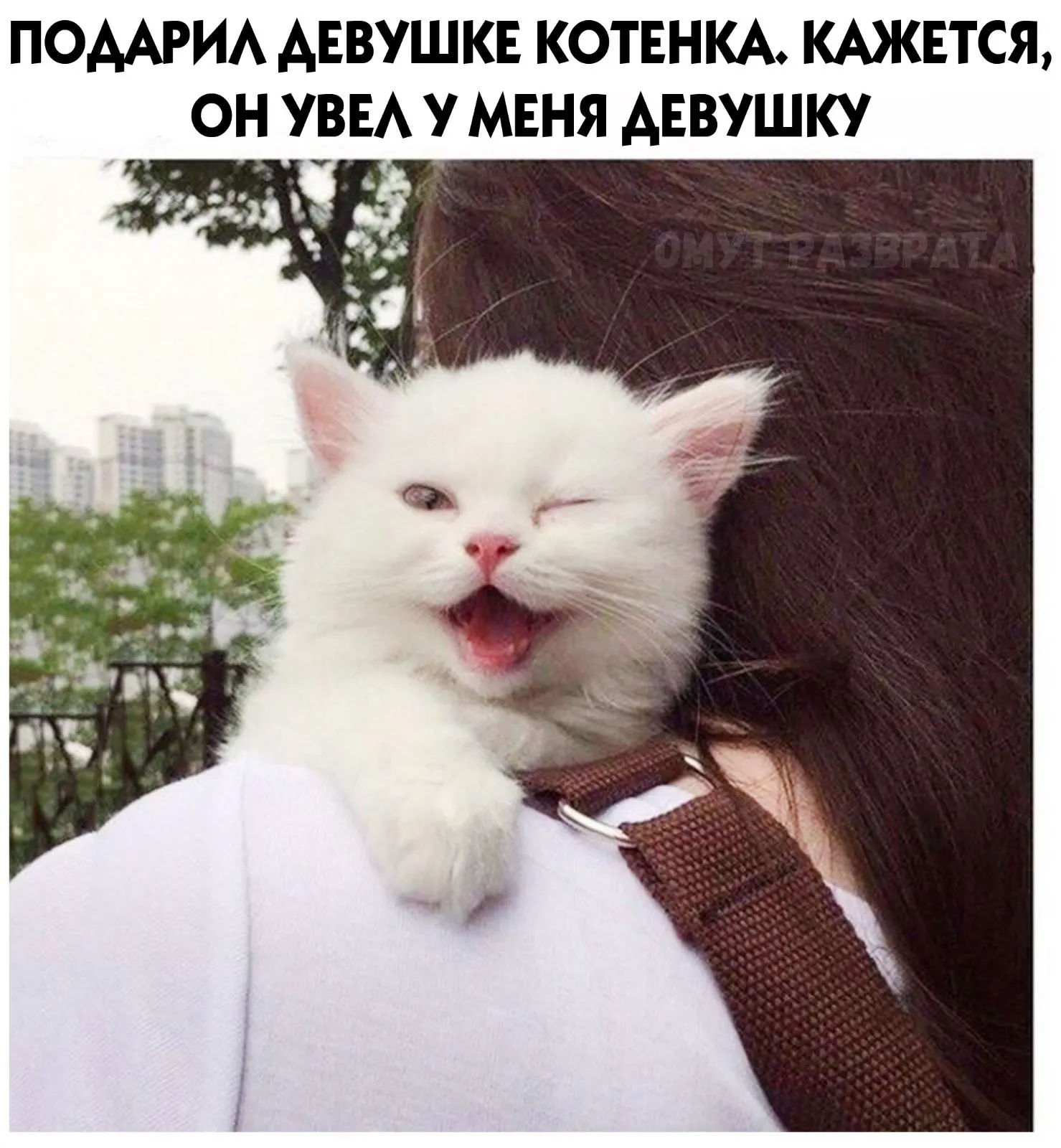 IMG-1b5fb73adea9518bc3df6d571285f20b-V.webp