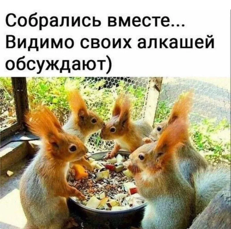 IMG-1b67121e9236c0e8fc6bb8f4c34349af-V.webp