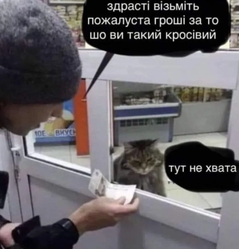 IMG-1b96d92ce836ed611ffe65d27a09c829-V.webp