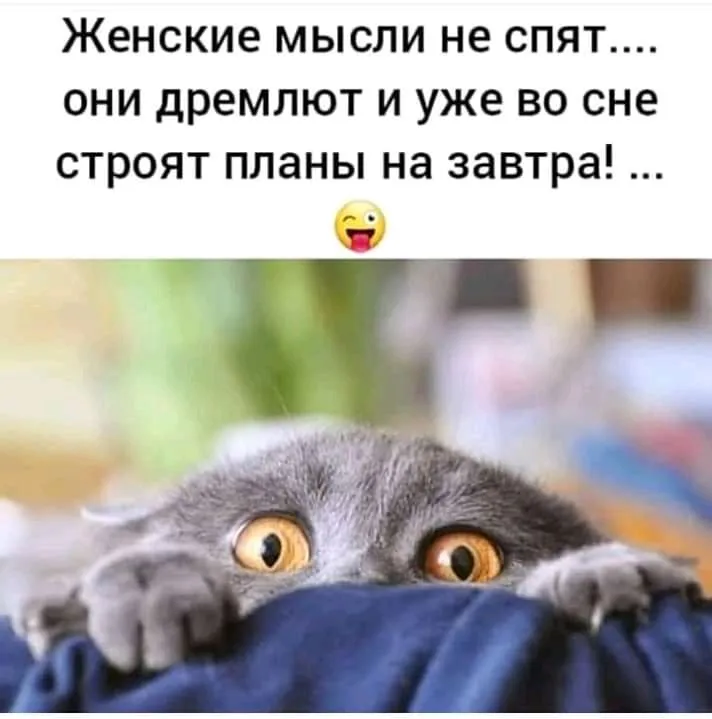 IMG-1bc14f8c6205a63c6d6c7c89bbca31fb-V.webp