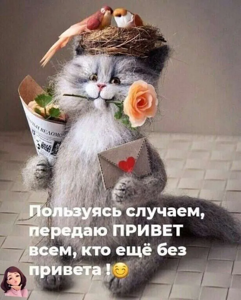IMG-1c34172135a7be8becbfa32ef21738a2-V.webp