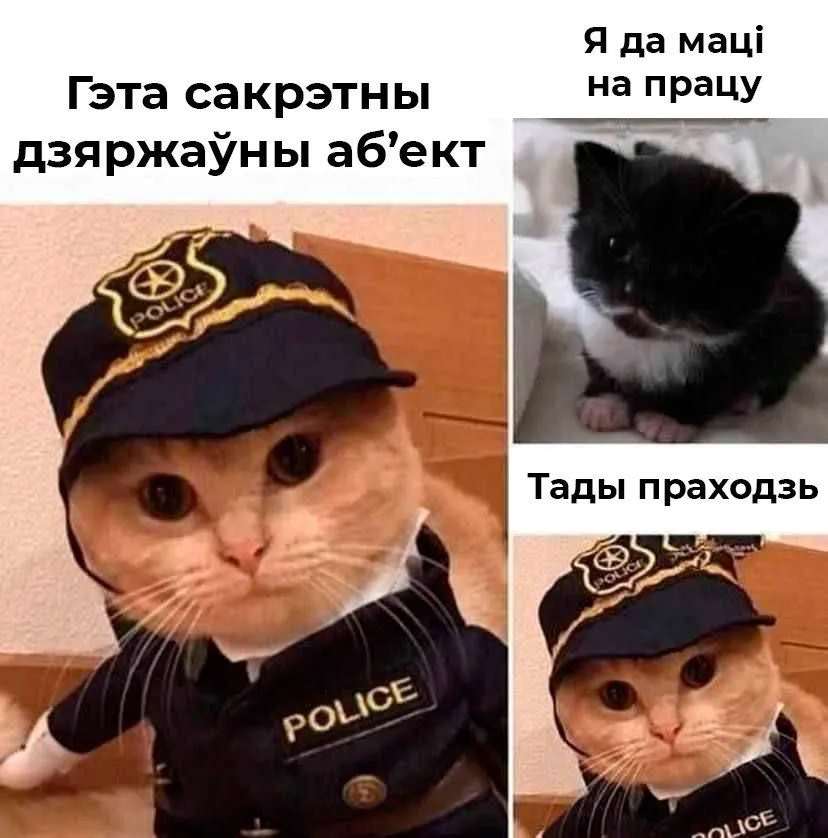 IMG-1c3b571ded8746860dc7e48c8f775f31-V.webp