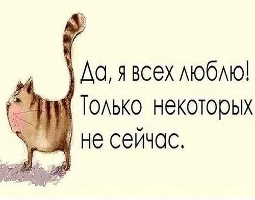 IMG-1cb599816ebb9d60f5778b225189bfde-V.webp