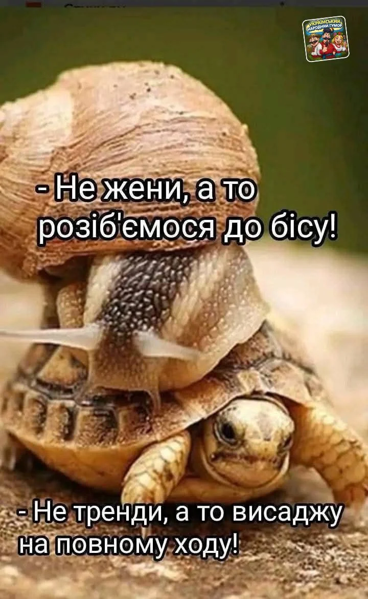IMG-1ea0e809575183c3ea8b4580cfef3431-V.webp