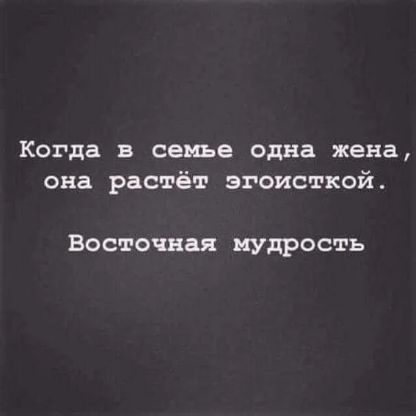 IMG-1ed838e78c549ef466177f45977d0a6c-V.webp