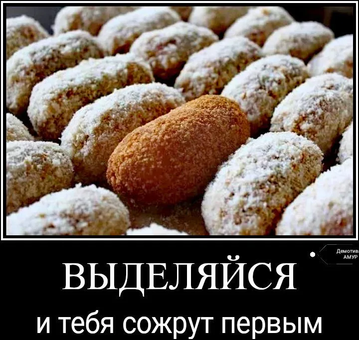 IMG-1ee3db0d301fc0af68e23db65ac49f95-V.webp