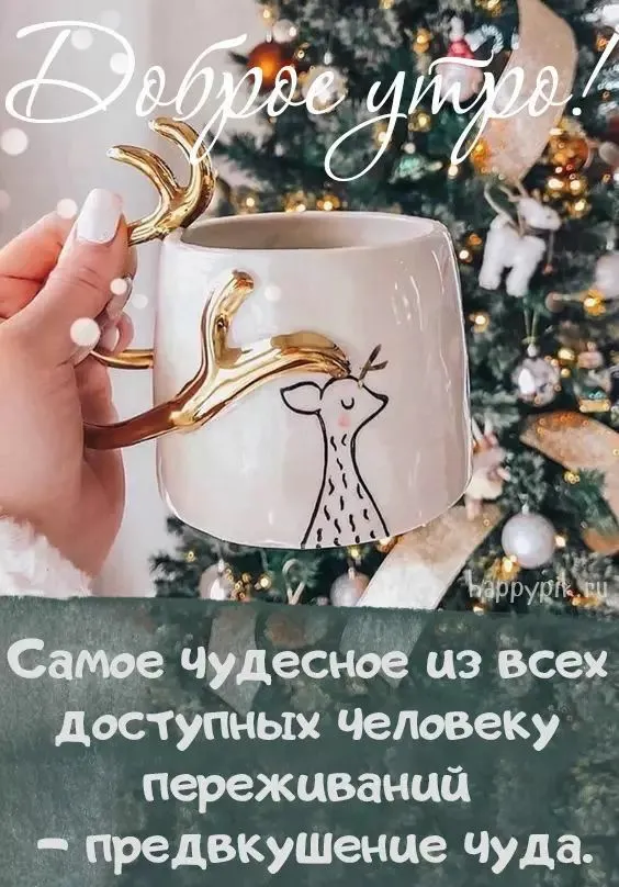 IMG-1efbc9d98d51cb6ef571d9ceb0eee783-V.webp