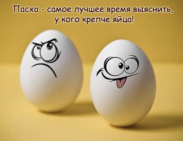 IMG-1efdb5ba6928952daabf7c2baa6ebb41-V.webp