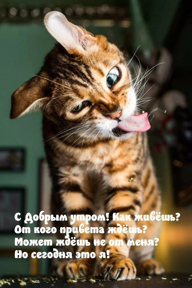 IMG-1f12f37e211660f8387bfb63a92b7440-V.webp