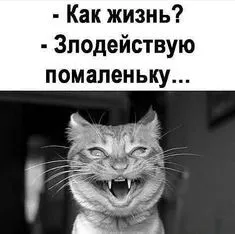 IMG-1f6f5b35ac2f4756505148f2163da2d6-V.webp