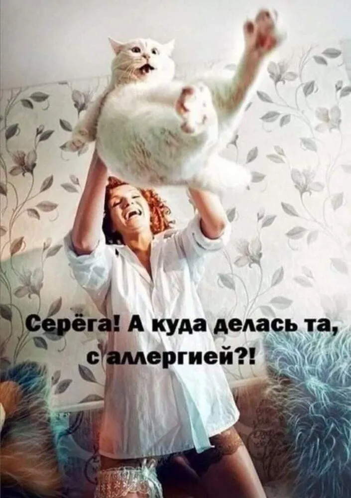 IMG-1f77683d68d33a5c45d0f9d9315c29a3-V.webp