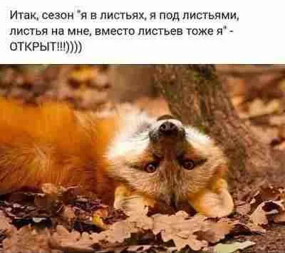 IMG-1f988e302a9c1af21c8de6518f63b4a1-V.webp