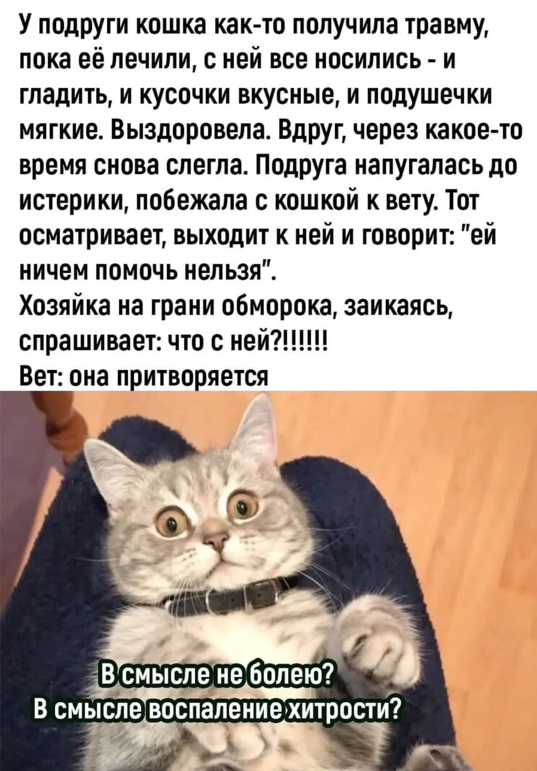 IMG-1fa88db7d990e3370b1fb4531c8dba3a-V.webp