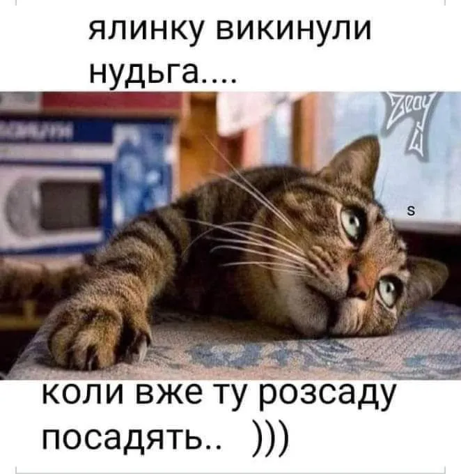 IMG-201b75ca0781bf1bf823104f27da585c-V.webp