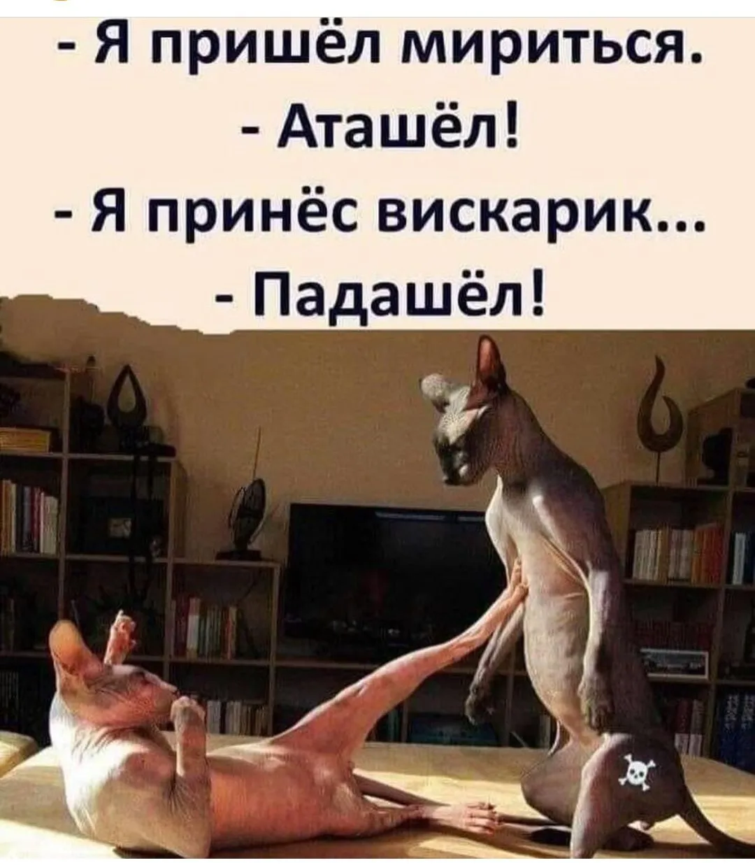 IMG-20240123-WA0024-world66.spcs.bio.webp