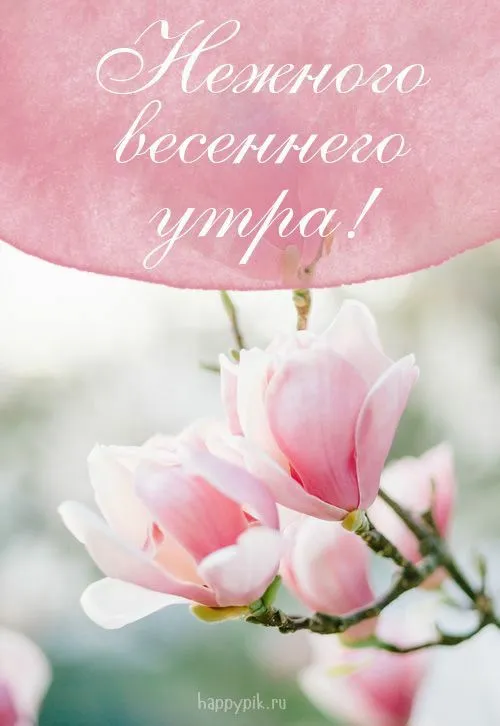 IMG-202f51b58475896b28e071d48d431620-V.webp