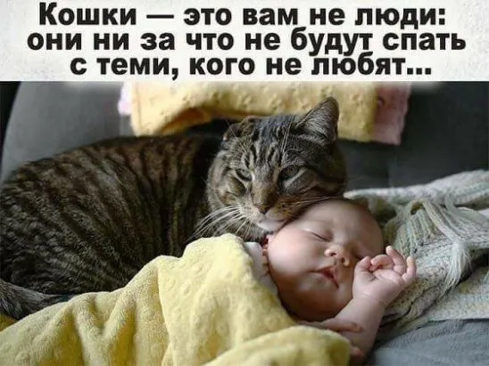IMG-20394ce457d1c09644202bd9a231bdab-V.webp