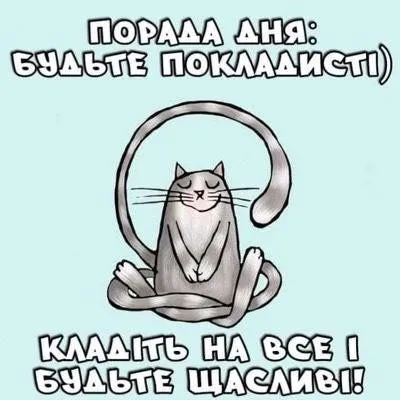 IMG-2064562ef917288f2bbd991571fabfbe-V.webp