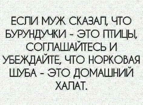 IMG-21949dd1ade0eff685e7d6a4cb76dd0e-V.webp