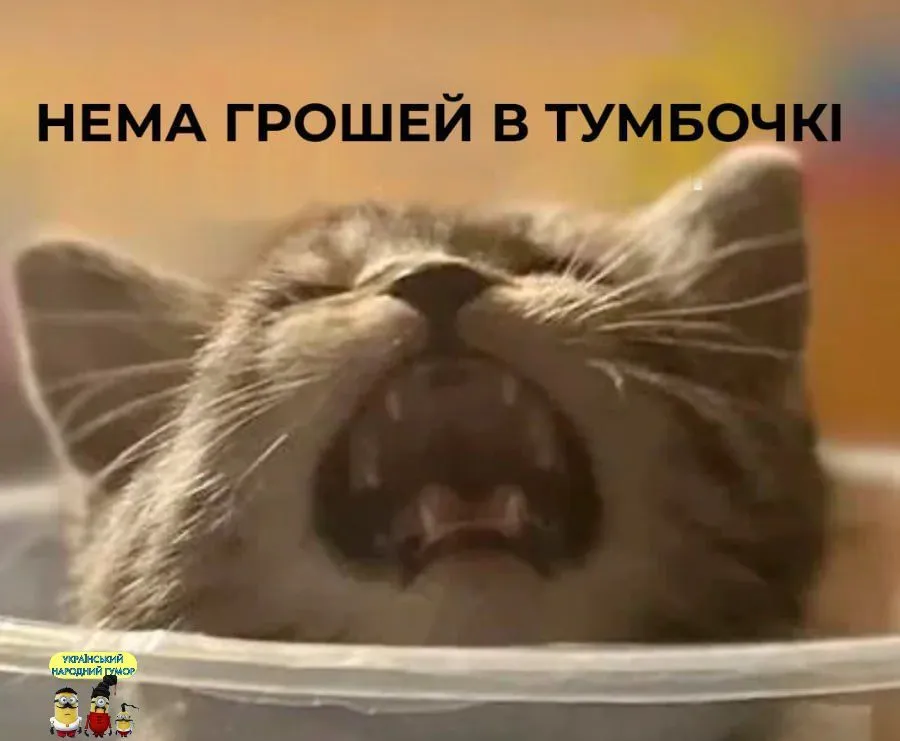 IMG-21dad61fe3e523bccc5df1afad44e24e-V.webp