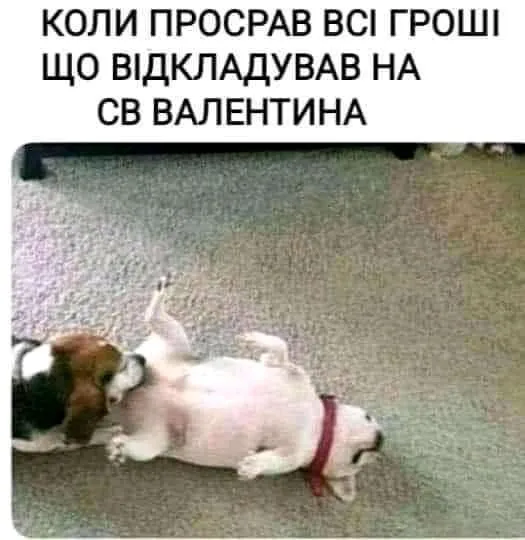 IMG-229aa3380a3b325e223336fd03b1ea61-V.webp