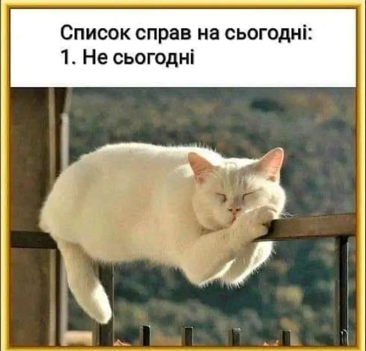 IMG-23a82f66f444904da190aba6bb1f88ef-V.webp