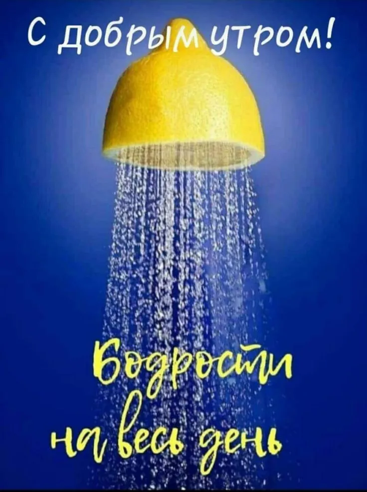 IMG-23bff78869be43979bf446693d2368fd-V.webp