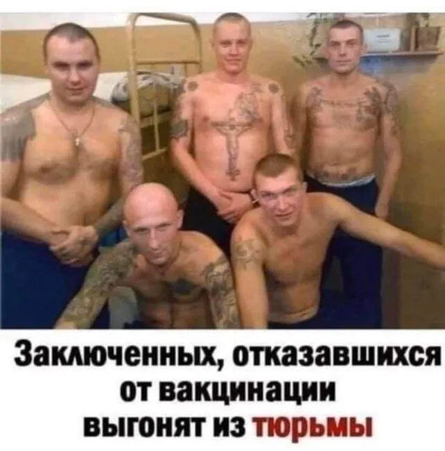 IMG-23d188c99a74a0cc5d838ee70b25cffe-V.webp