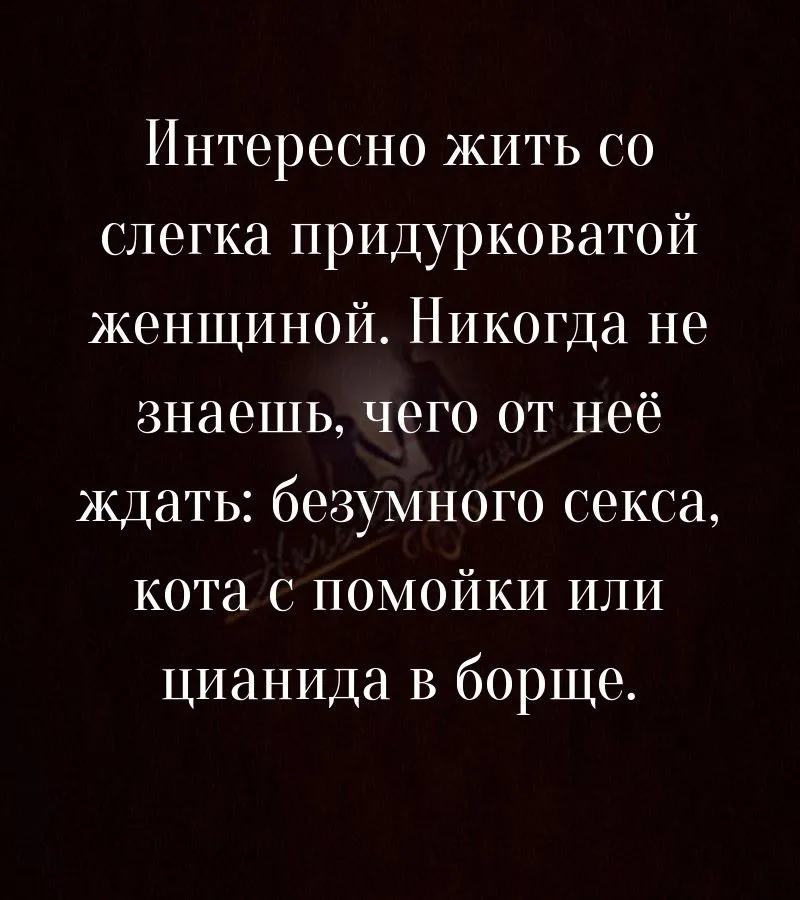 IMG-2401fefffdba421e26c9052ca70dfaaf-V.webp
